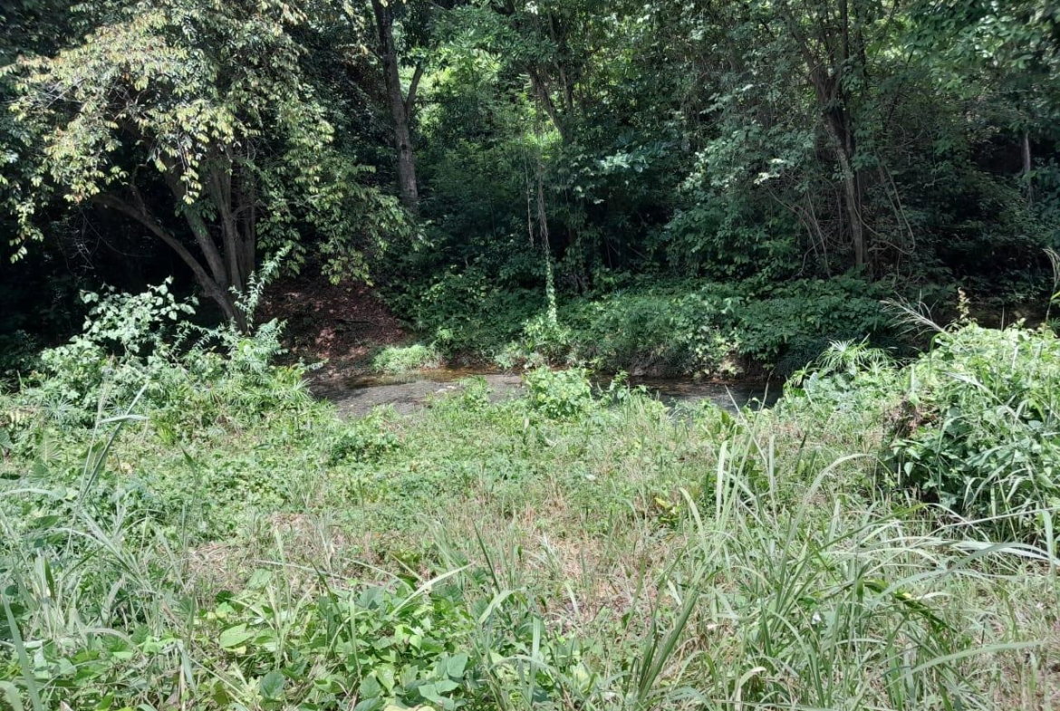 Ninth image of Spring Grove, Scotts Pass in Porus, Manchester, Jamaica - property is For Sale