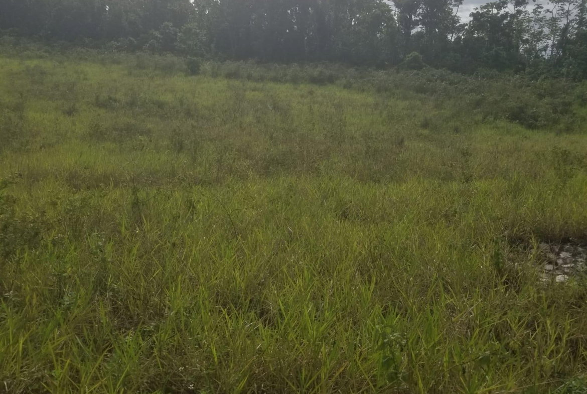 Second image of 267a Newark Grove in Spur Tree, Manchester, Jamaica - property is For Sale