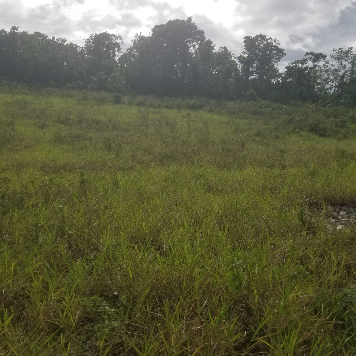 Second image of 267a Newark Grove in Spur Tree, Manchester, Jamaica - property is For Sale