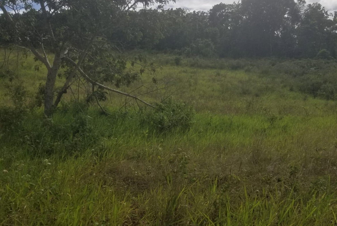 First image of 267a Newark Grove in Spur Tree, Manchester, Jamaica - property is For Sale