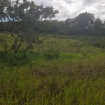 First image of 267a Newark Grove in Spur Tree, Manchester, Jamaica - property is For Sale