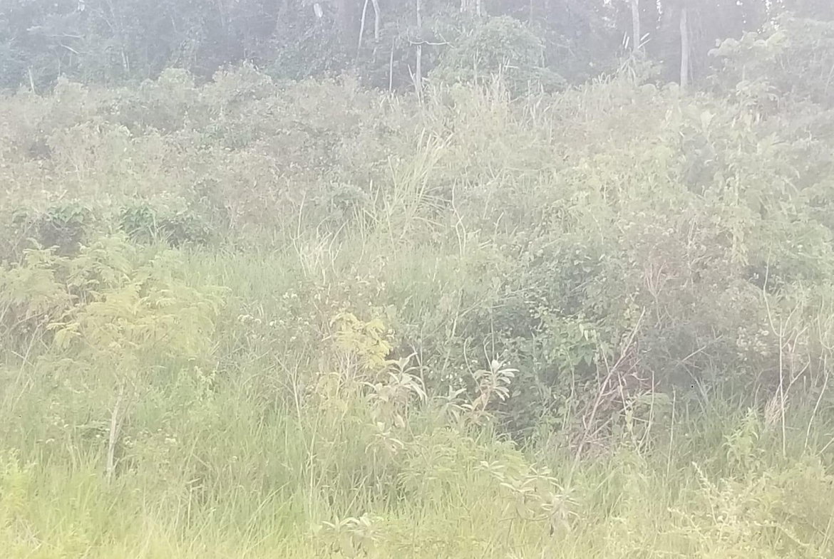 Fifth image of 267a Newark Grove in Spur Tree, Manchester, Jamaica - property is For Sale