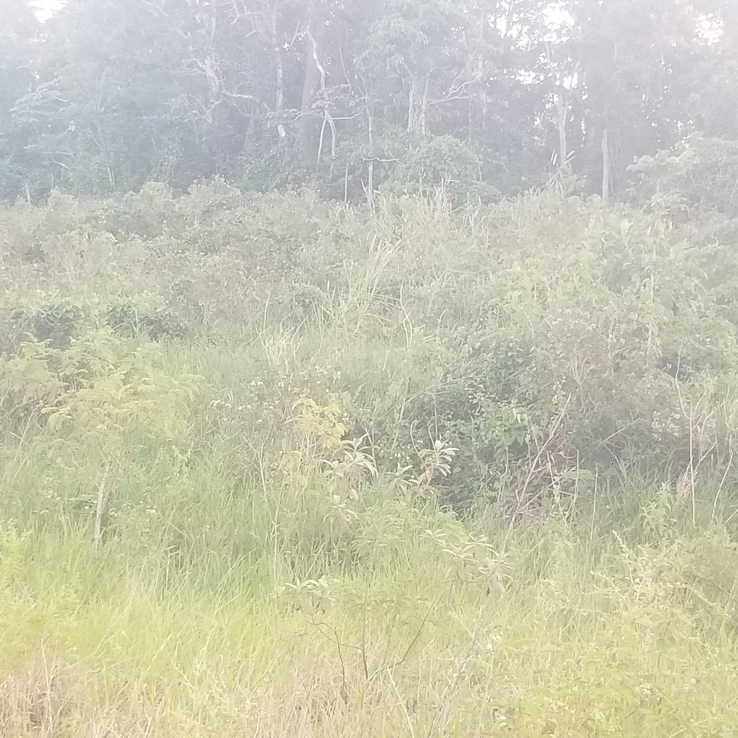 Fifth image of 267a Newark Grove in Spur Tree, Manchester, Jamaica - property is For Sale