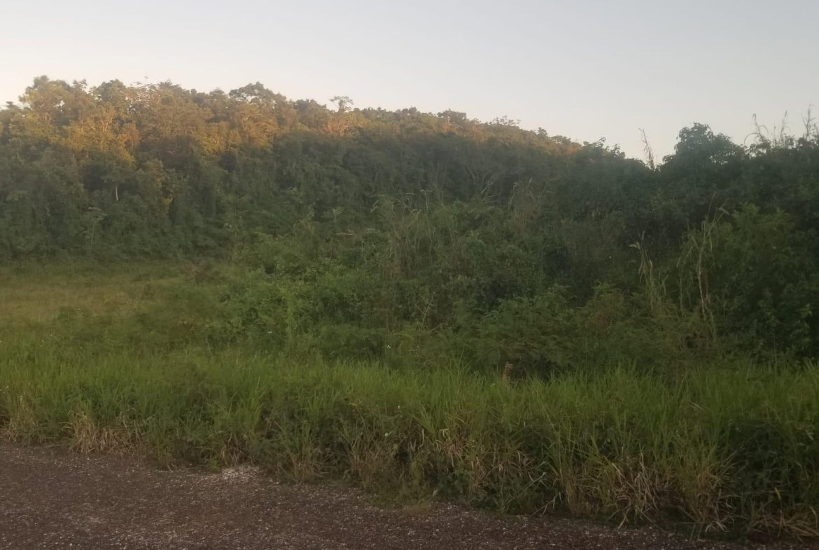 Sixth image of 267a Newark Grove in Spur Tree, Manchester, Jamaica - property is For Sale