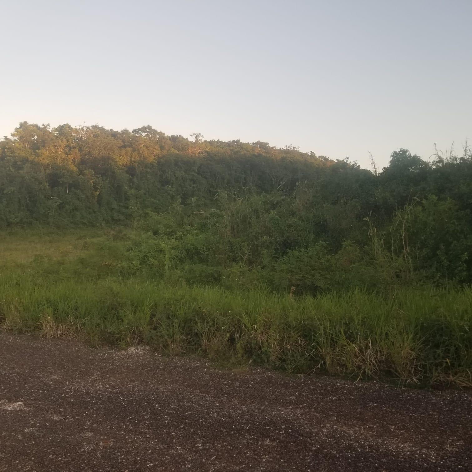Sixth image of 267a Newark Grove in Spur Tree, Manchester, Jamaica - property is For Sale