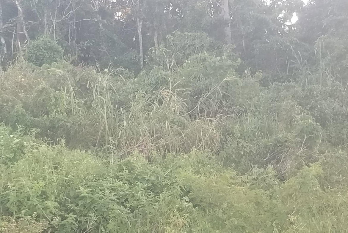 Seventh image of 267a Newark Grove in Spur Tree, Manchester, Jamaica - property is For Sale