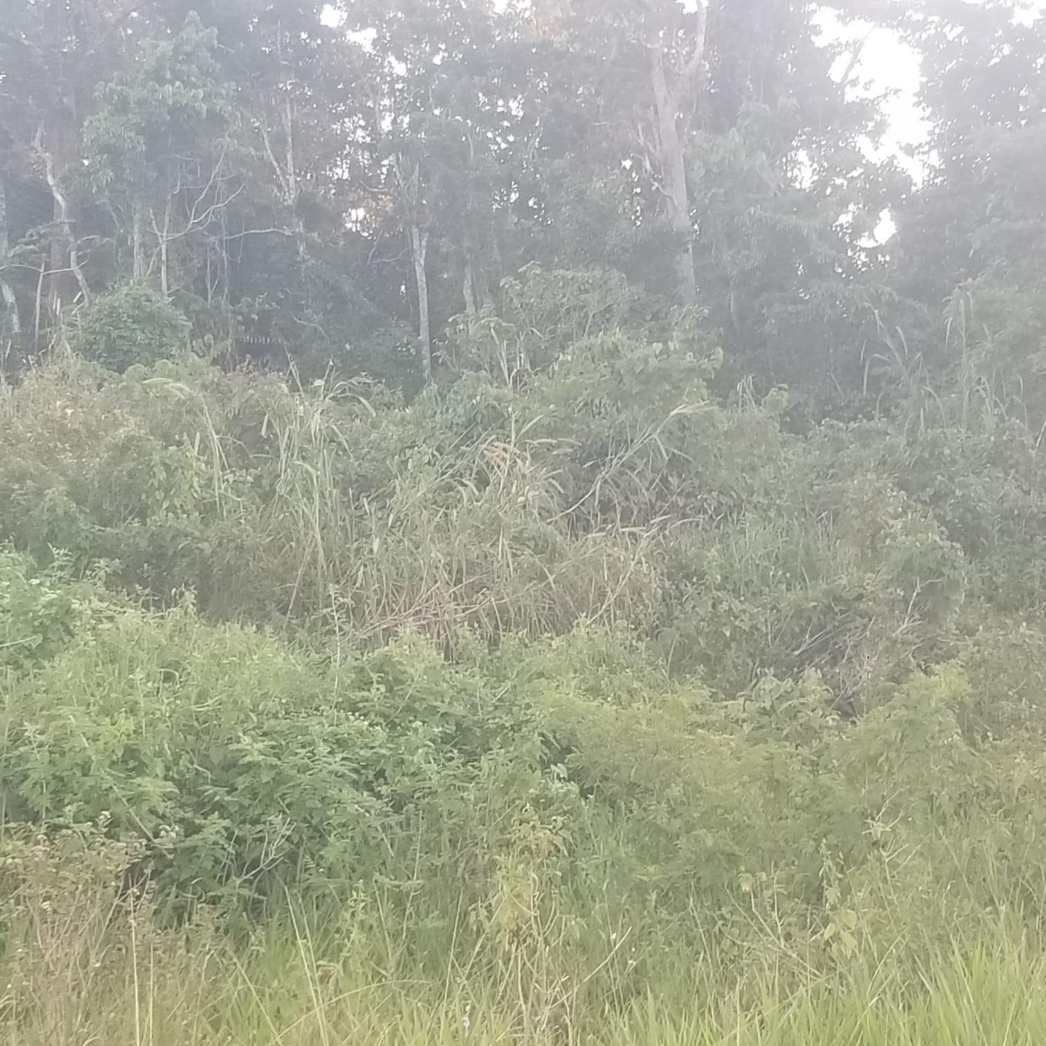 Seventh image of 267a Newark Grove in Spur Tree, Manchester, Jamaica - property is For Sale