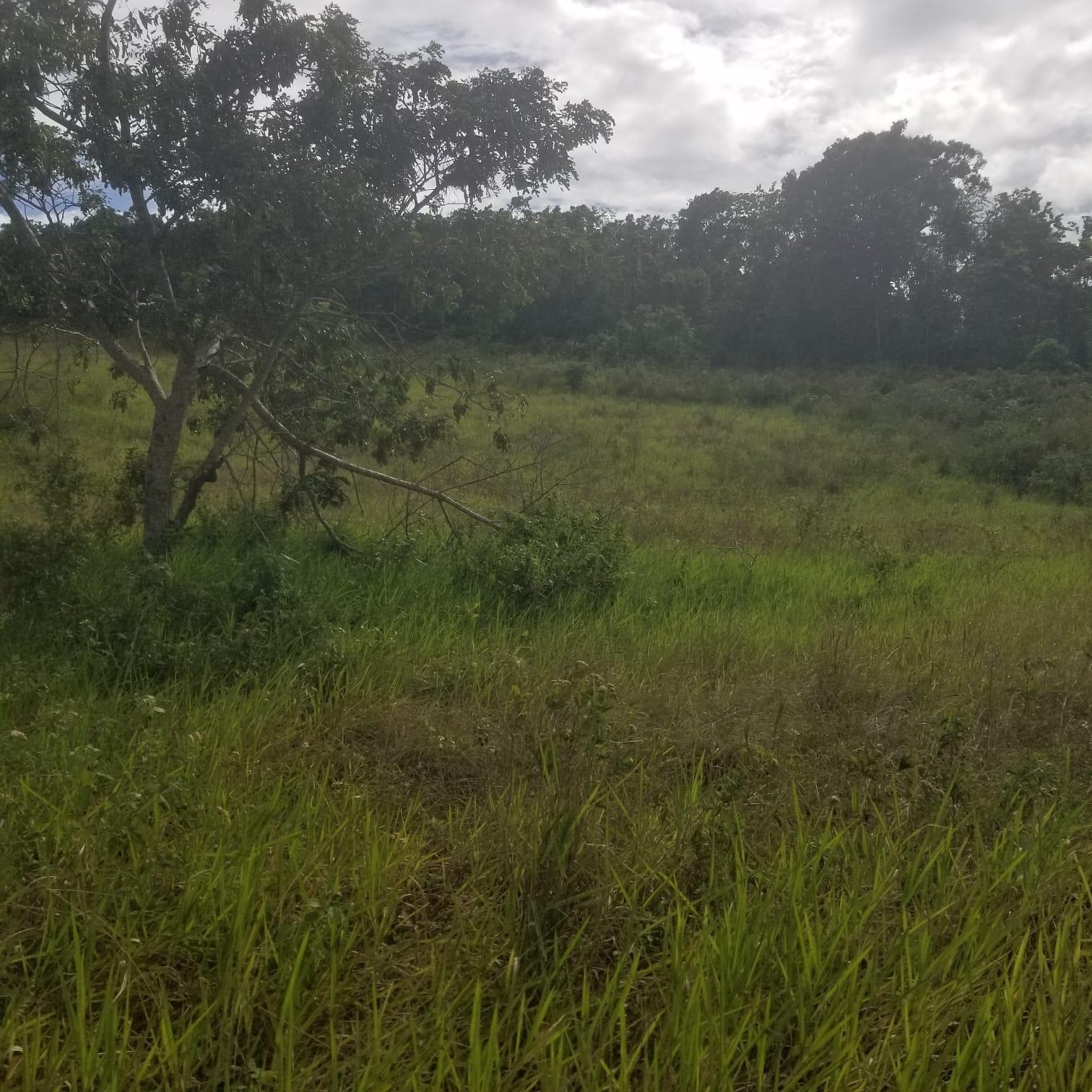 First image of 267a Newark Grove in Spur Tree, Manchester, Jamaica - property is For Sale