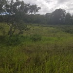 First image of 267a Newark Grove in Spur Tree, Manchester, Jamaica - property is For Sale