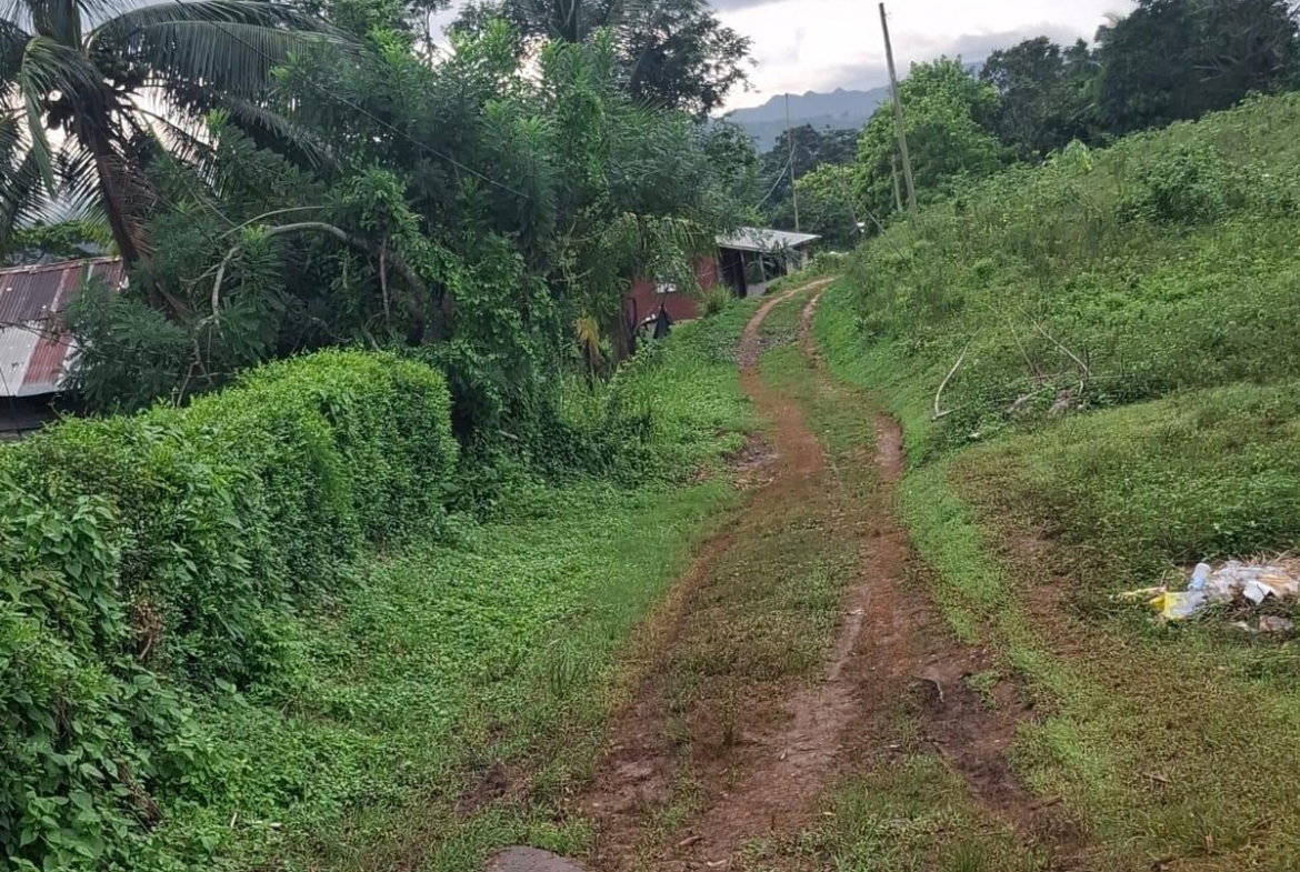 First image of Low Ground, Rock River in Rock River, Clarendon, Jamaica - property is For Sale