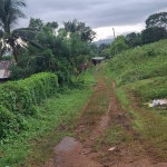 First image of Low Ground, Rock River in Rock River, Clarendon, Jamaica - property is For Sale