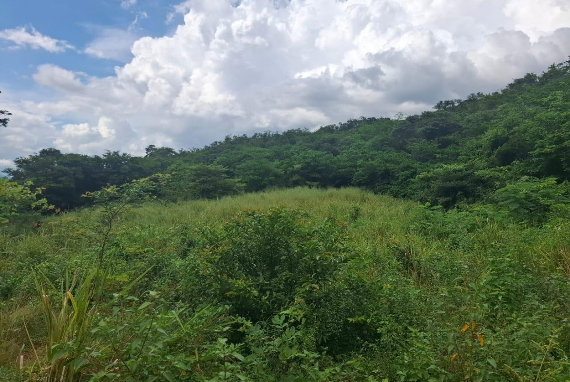 Fifth image of Low Ground, Rock River in Rock River, Clarendon, Jamaica - property is For Sale