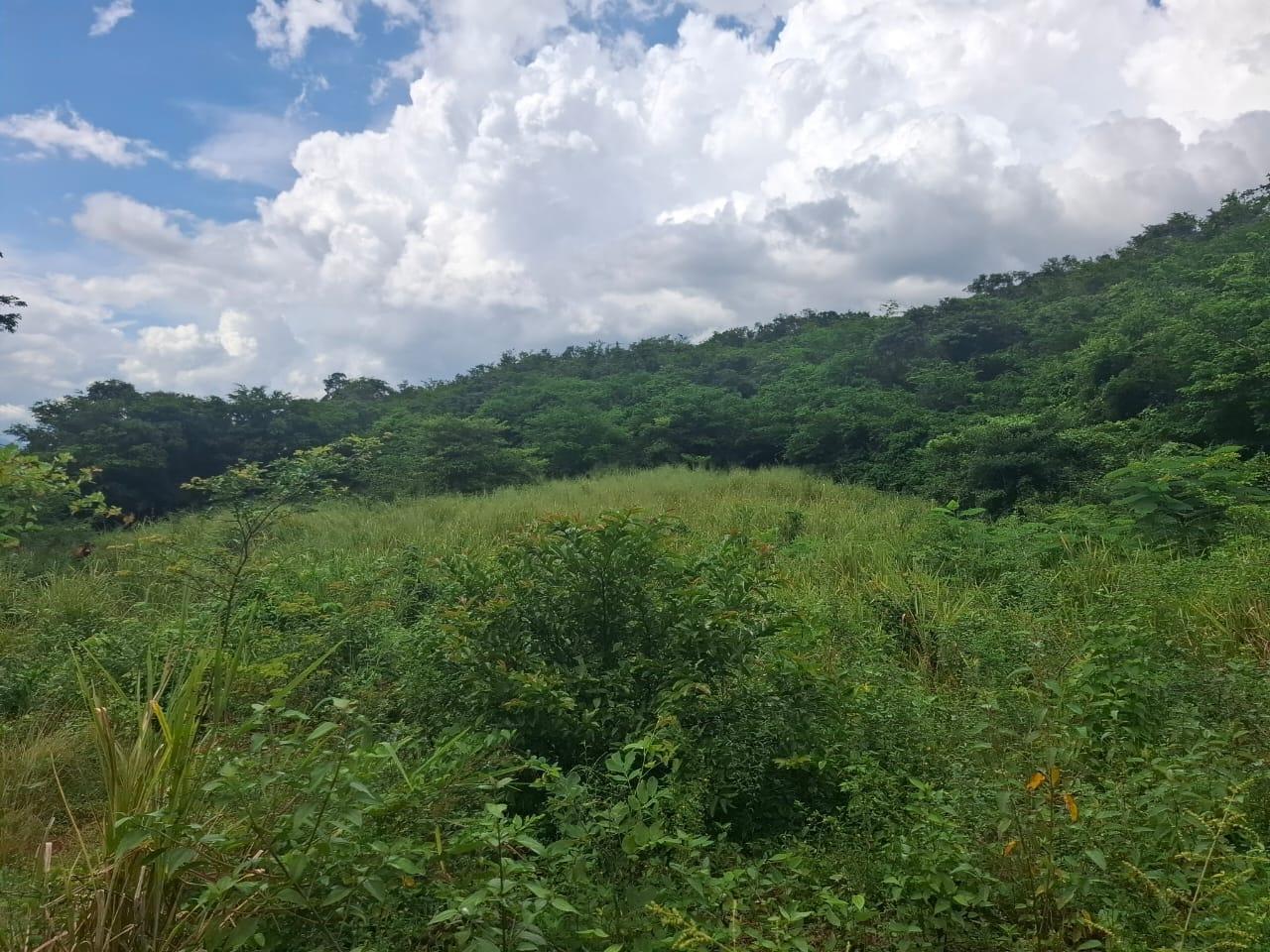 Fifth image of Low Ground, Rock River in Rock River, Clarendon, Jamaica - property is For Sale
