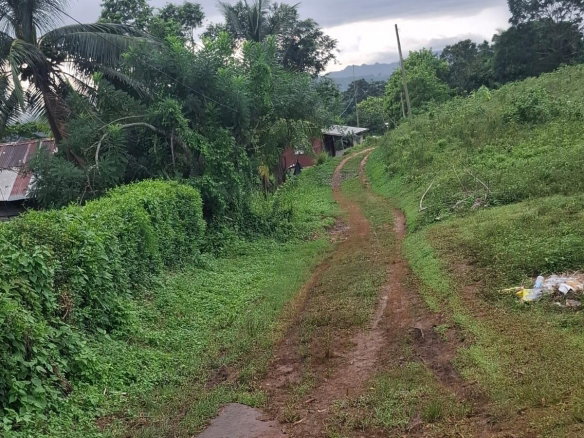 First image of Low Ground, Rock River in Rock River, Clarendon, Jamaica - property is For Sale