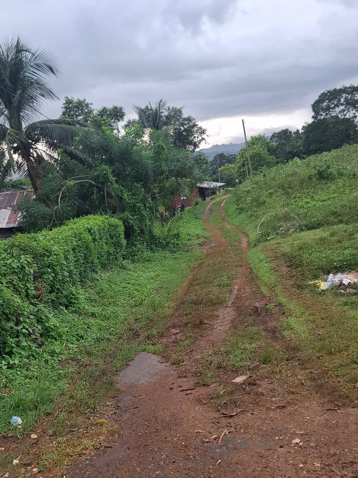 First image of Low Ground, Rock River in Rock River, Clarendon, Jamaica - property is For Sale