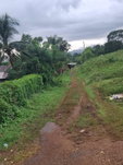 First image of Low Ground, Rock River in Rock River, Clarendon, Jamaica - property is For Sale