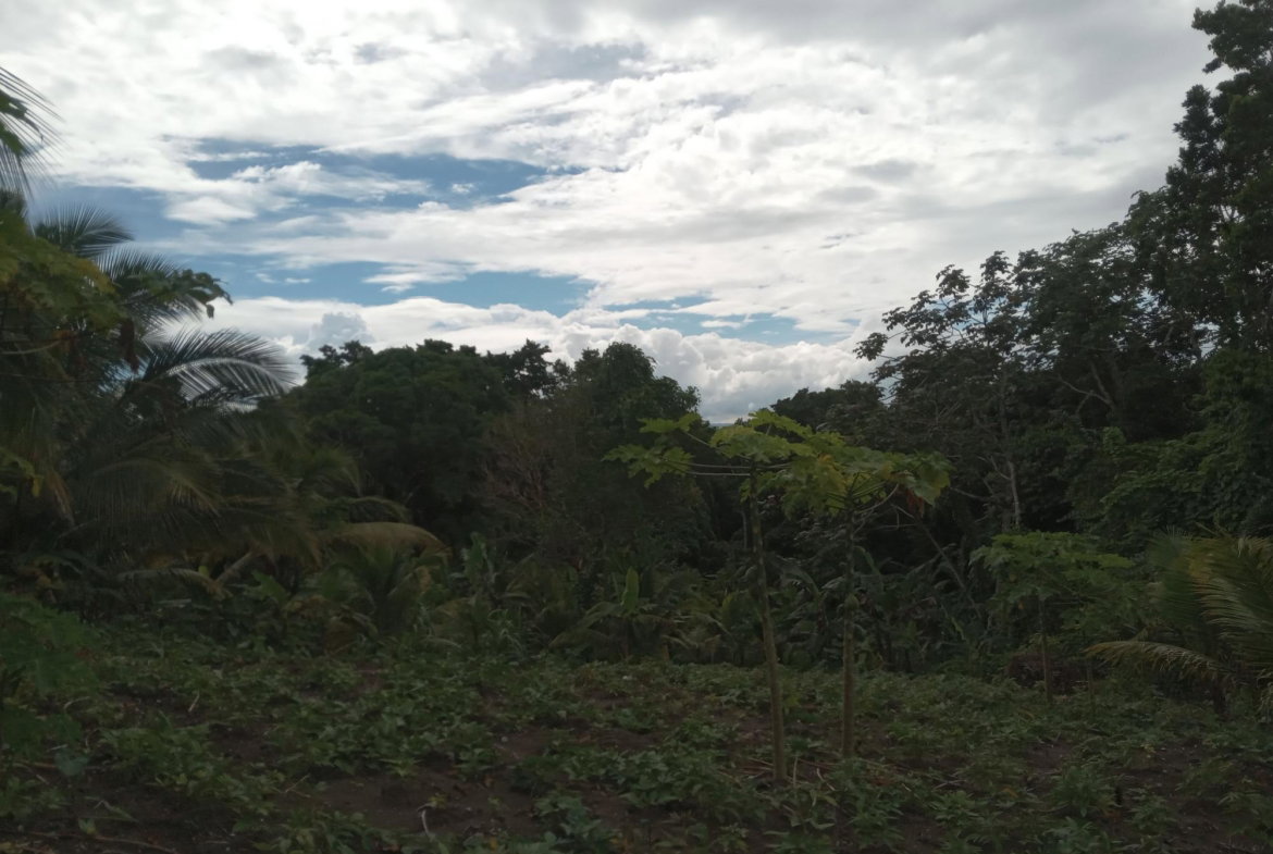 Fourth image of Retreat Off Mango Valley Road in Retreat, St. Mary, Jamaica - property is For Sale