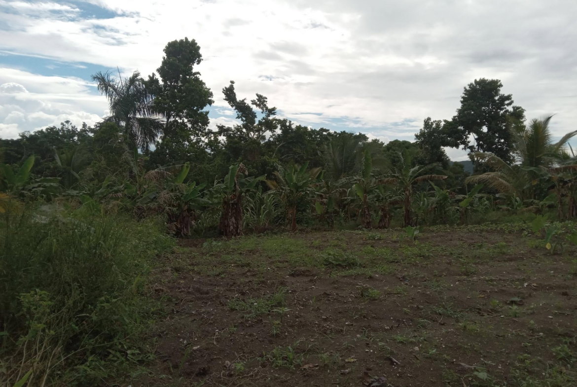 Fifth image of Retreat Off Mango Valley Road in Retreat, St. Mary, Jamaica - property is For Sale