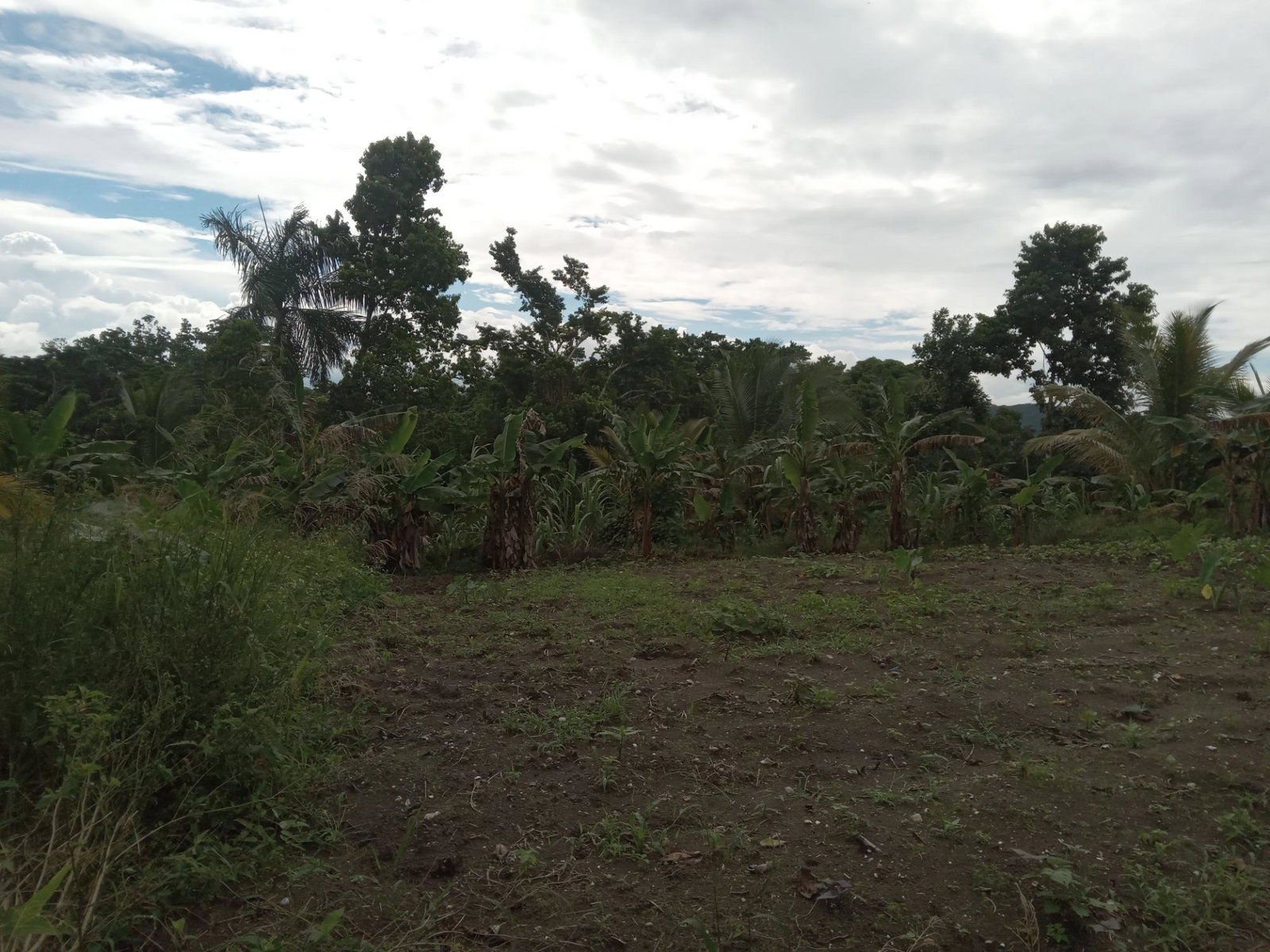 Fifth image of Retreat Off Mango Valley Road in Retreat, St. Mary, Jamaica - property is For Sale