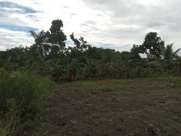 Fifth image of Retreat Off Mango Valley Road in Retreat, St. Mary, Jamaica - property is For Sale