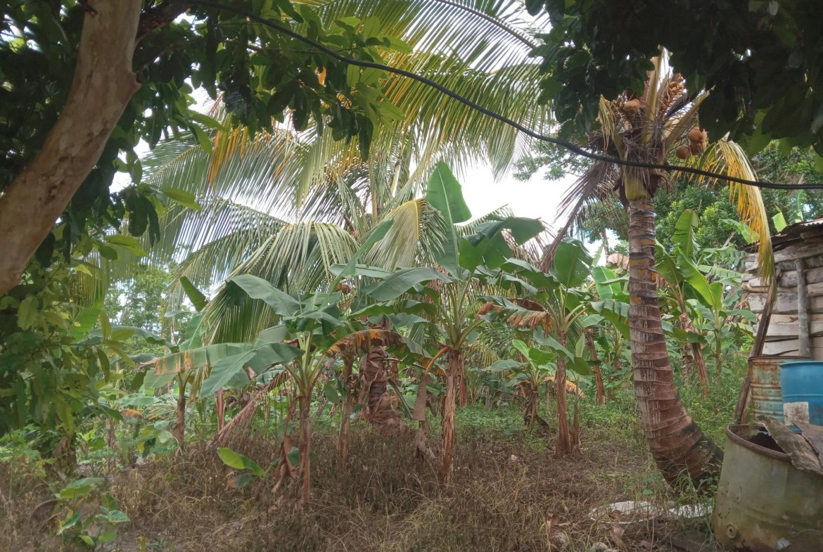 Seventh image of Retreat Off Mango Valley Road in Retreat, St. Mary, Jamaica - property is For Sale