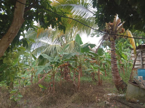 Seventh image of Retreat Off Mango Valley Road in Retreat, St. Mary, Jamaica - property is For Sale