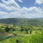 First image of Coleyville in Coleyville, Manchester, Jamaica - property is For Sale