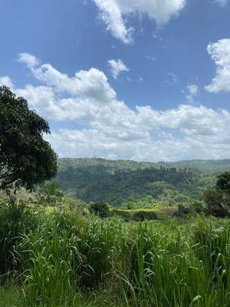 Third image of Coleyville in Coleyville, Manchester, Jamaica - property is For Sale