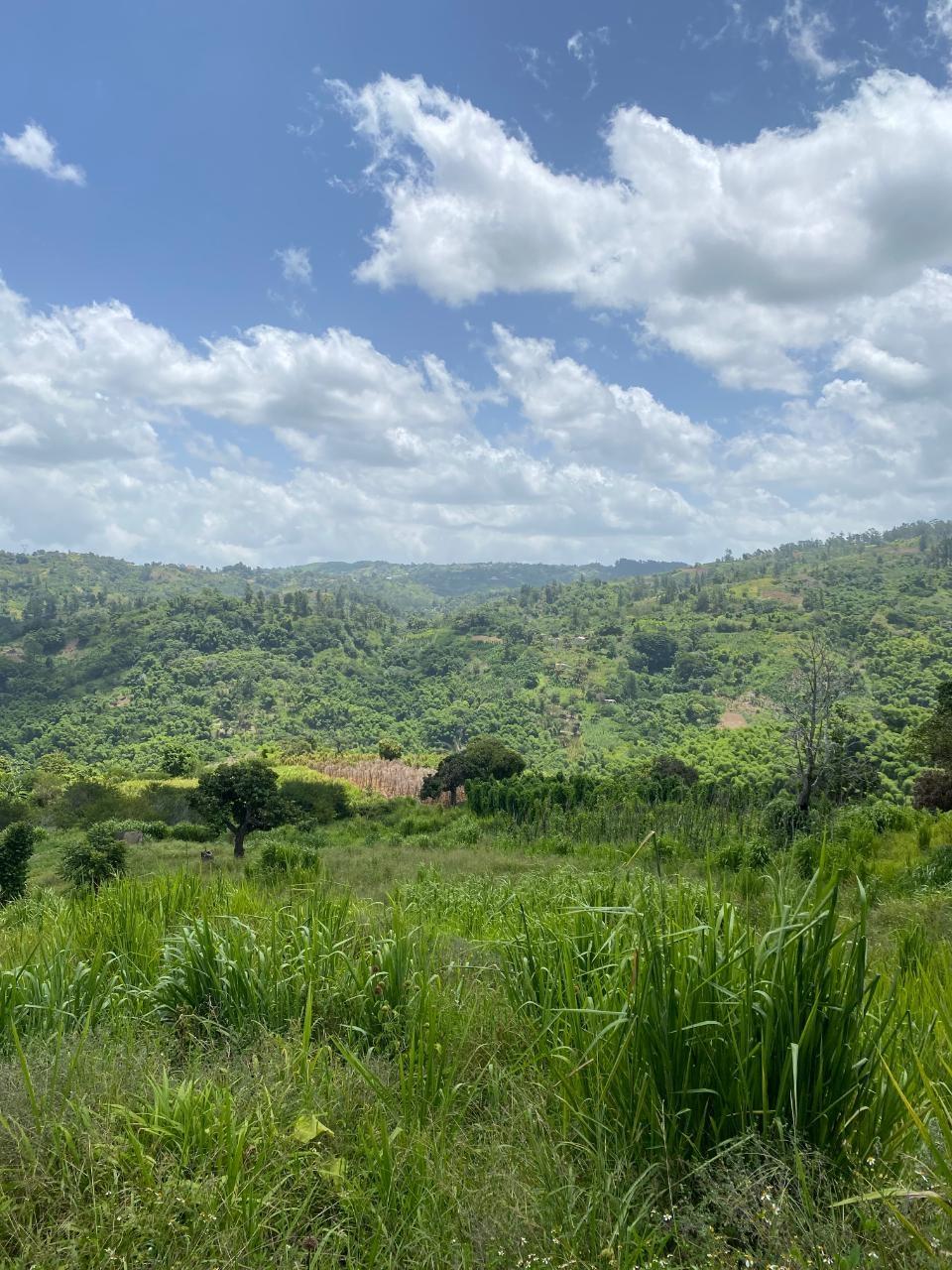 Fifth image of Coleyville in Coleyville, Manchester, Jamaica - property is For Sale