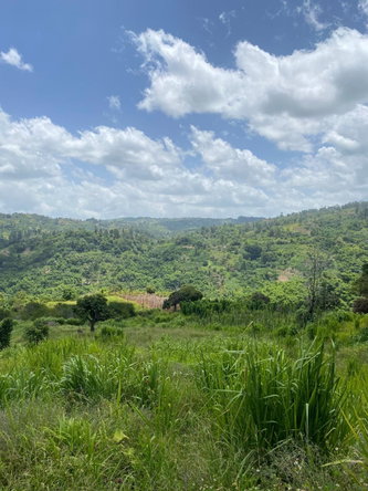 Fifth image of Coleyville in Coleyville, Manchester, Jamaica - property is For Sale