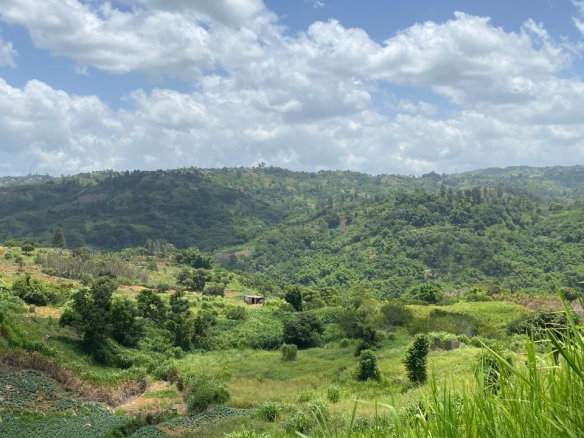 First image of Coleyville in Coleyville, Manchester, Jamaica - property is For Sale