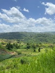 First image of Coleyville in Coleyville, Manchester, Jamaica - property is For Sale