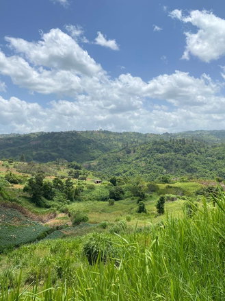 First image of Coleyville in Coleyville, Manchester, Jamaica - property is For Sale