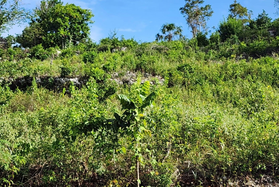 Second image of 3 Pusey Hill in Pusey Hill, Manchester, Jamaica - property is For Sale