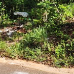 First image of 3 Pusey Hill in Pusey Hill, Manchester, Jamaica - property is For Sale