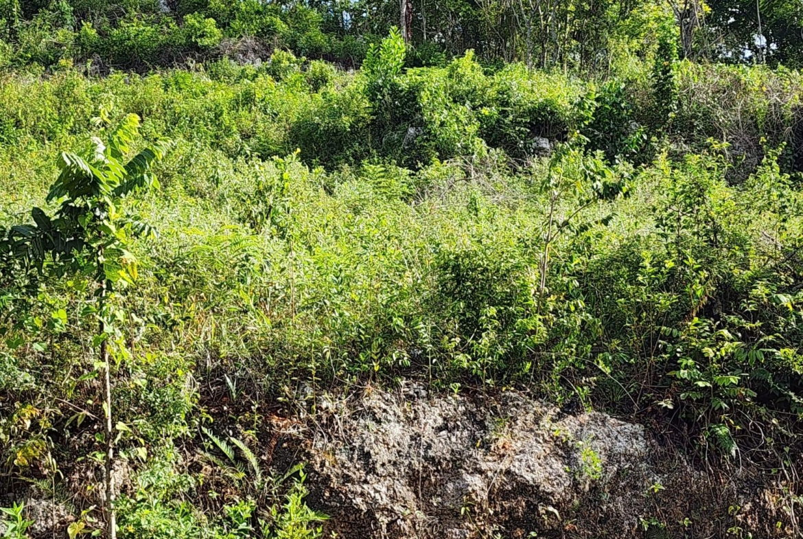 Fourth image of 3 Pusey Hill in Pusey Hill, Manchester, Jamaica - property is For Sale