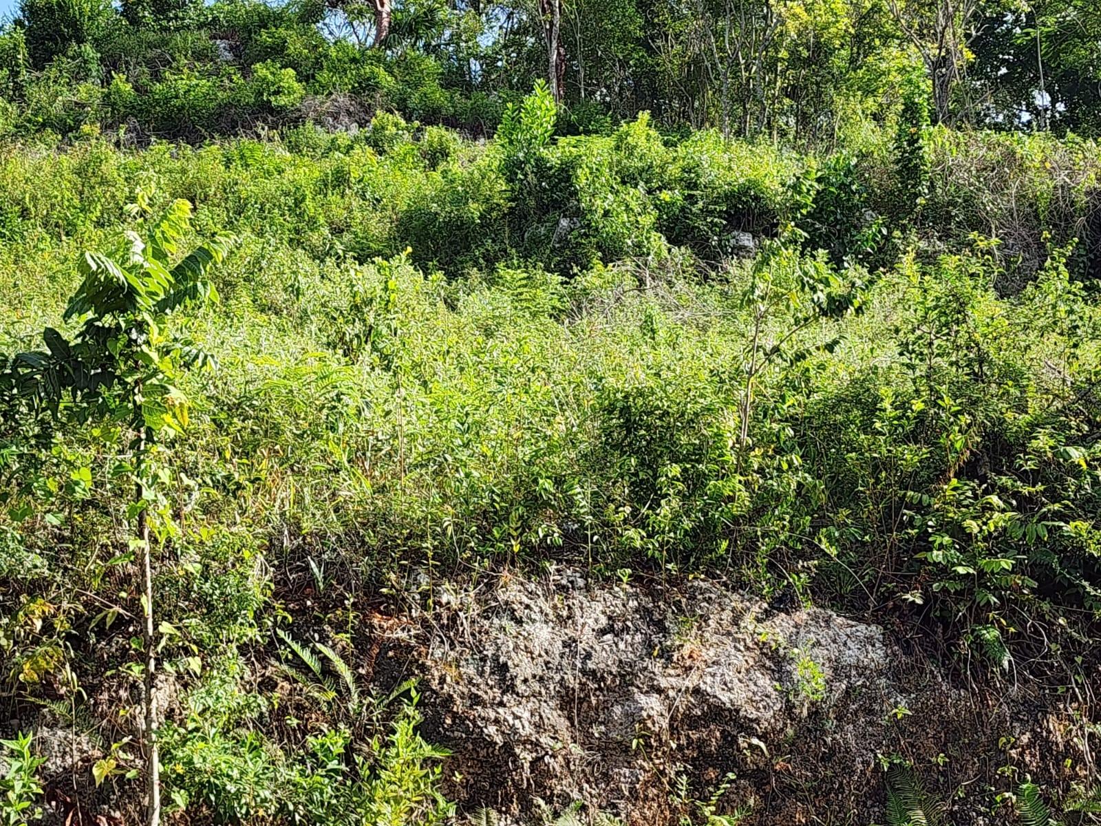 Fourth image of 3 Pusey Hill in Pusey Hill, Manchester, Jamaica - property is For Sale