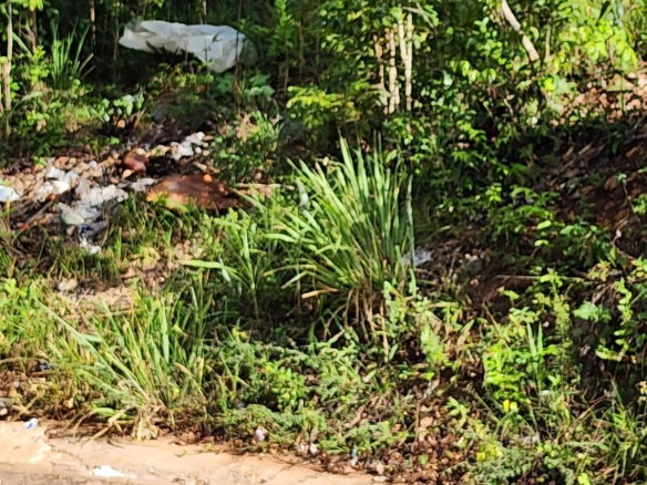 First image of 3 Pusey Hill in Pusey Hill, Manchester, Jamaica - property is For Sale