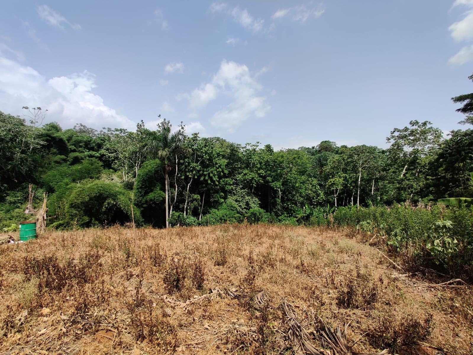 Eleventh image of Jericho in Jericho, St. Catherine, Jamaica - property is For Sale