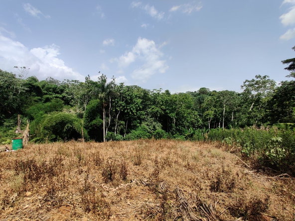 Eleventh image of Jericho in Jericho, St. Catherine, Jamaica - property is For Sale