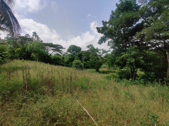 Twelfth image of Jericho in Jericho, St. Catherine, Jamaica - property is For Sale