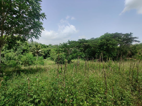 Thirteenth image of Jericho in Jericho, St. Catherine, Jamaica - property is For Sale
