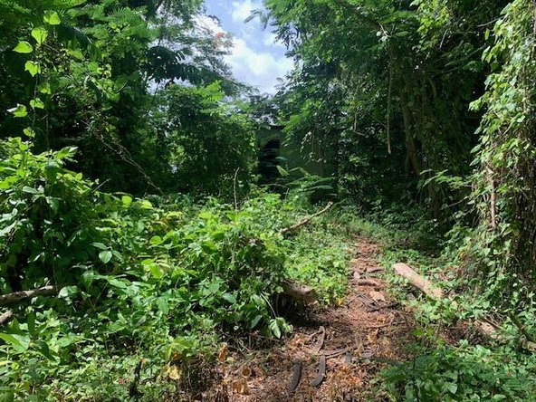 Fifth image of Jericho in Jericho, St. Catherine, Jamaica - property is For Sale