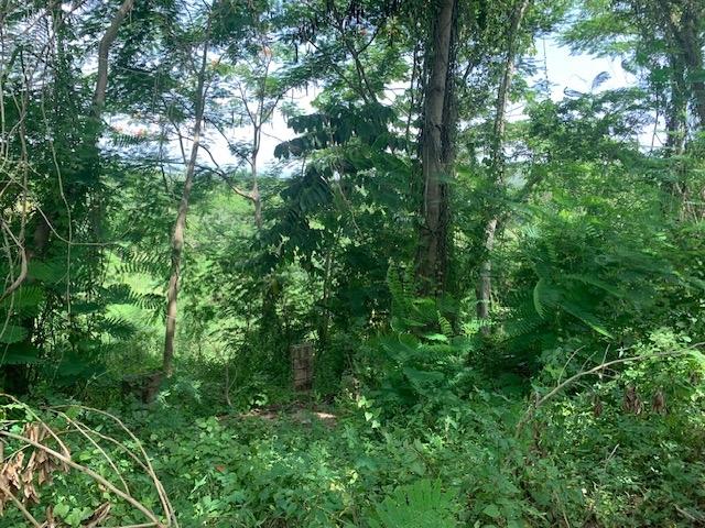 Sixth image of Jericho in Jericho, St. Catherine, Jamaica - property is For Sale
