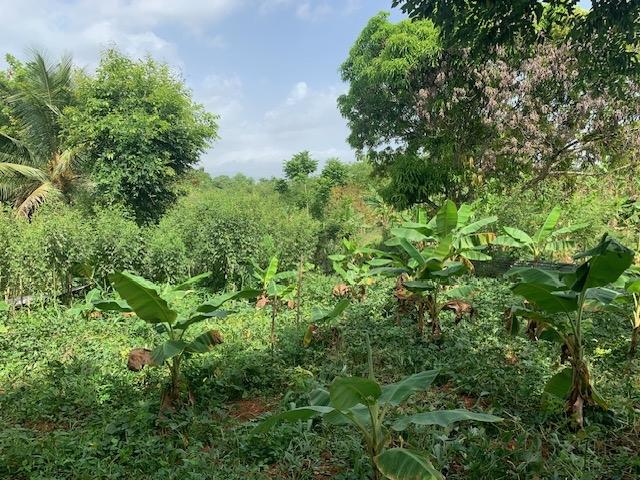 Ninth image of Jericho in Jericho, St. Catherine, Jamaica - property is For Sale