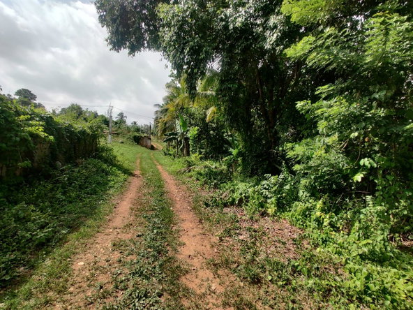 Tenth image of Jericho in Jericho, St. Catherine, Jamaica - property is For Sale