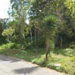 First image of Land Part of Rock Hill in May Pen, Clarendon, Jamaica - property is For Sale