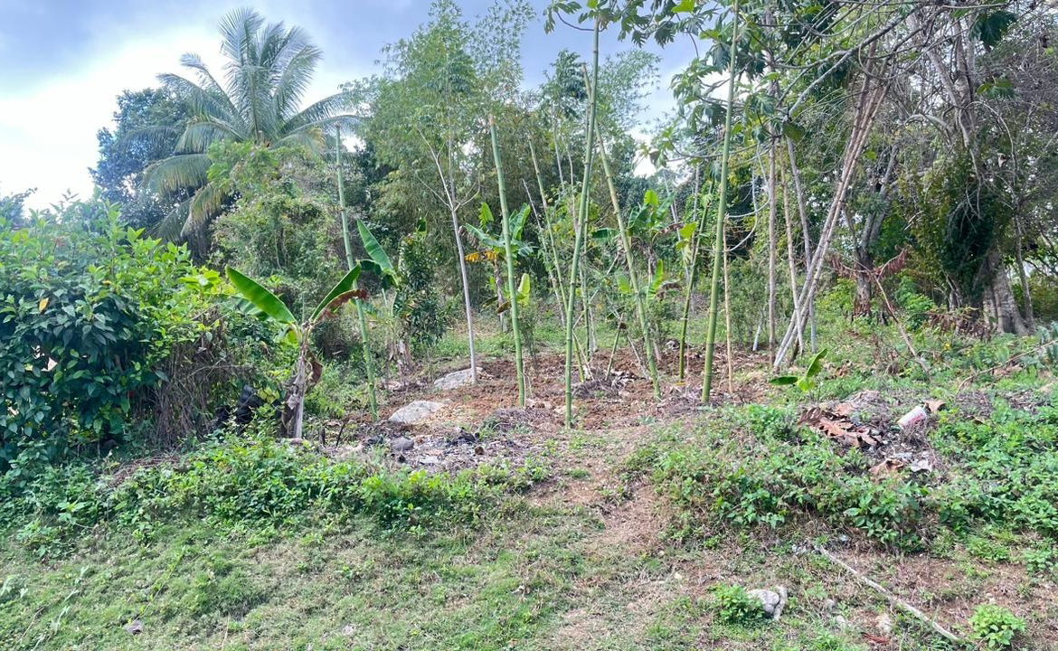 Third image of Land Part of Rock Hill in May Pen, Clarendon, Jamaica - property is For Sale
