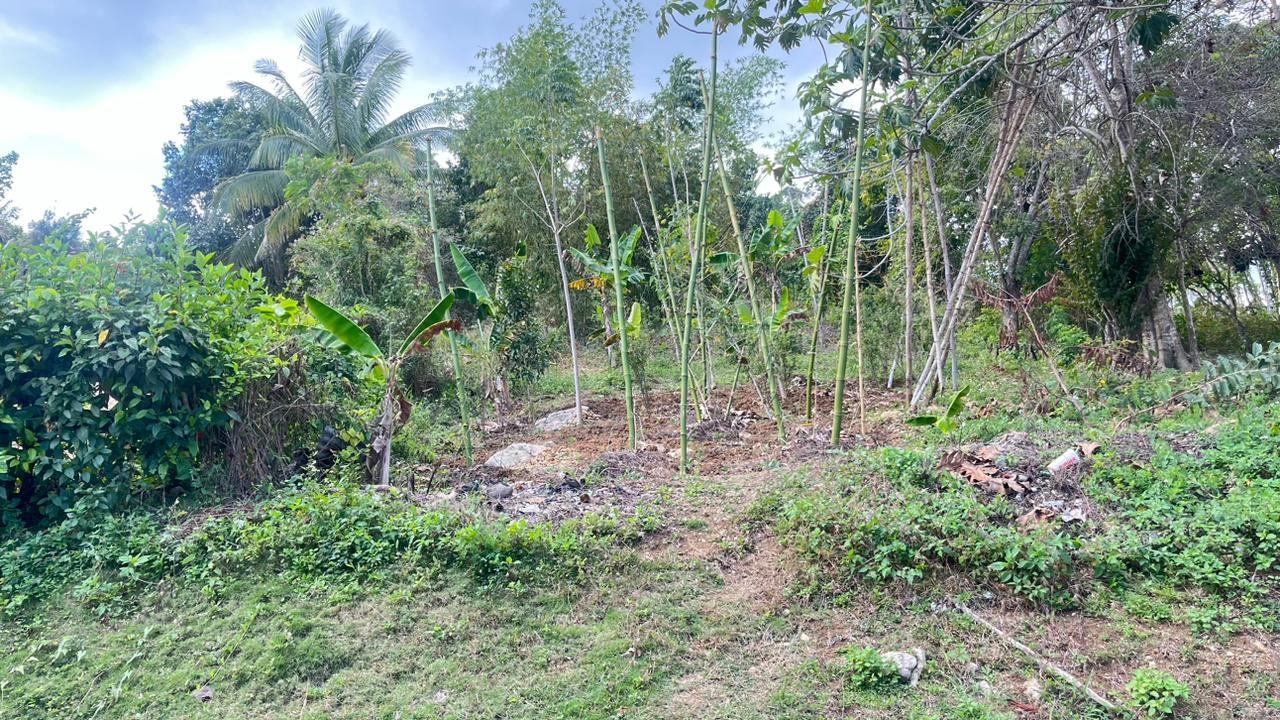 14178-sq-ft-Residential-Lot-for-Sale-in-Clarendon-Jamaica Third image of Land Part of Rock Hill in May Pen, Clarendon, Jamaica - property is For Sale