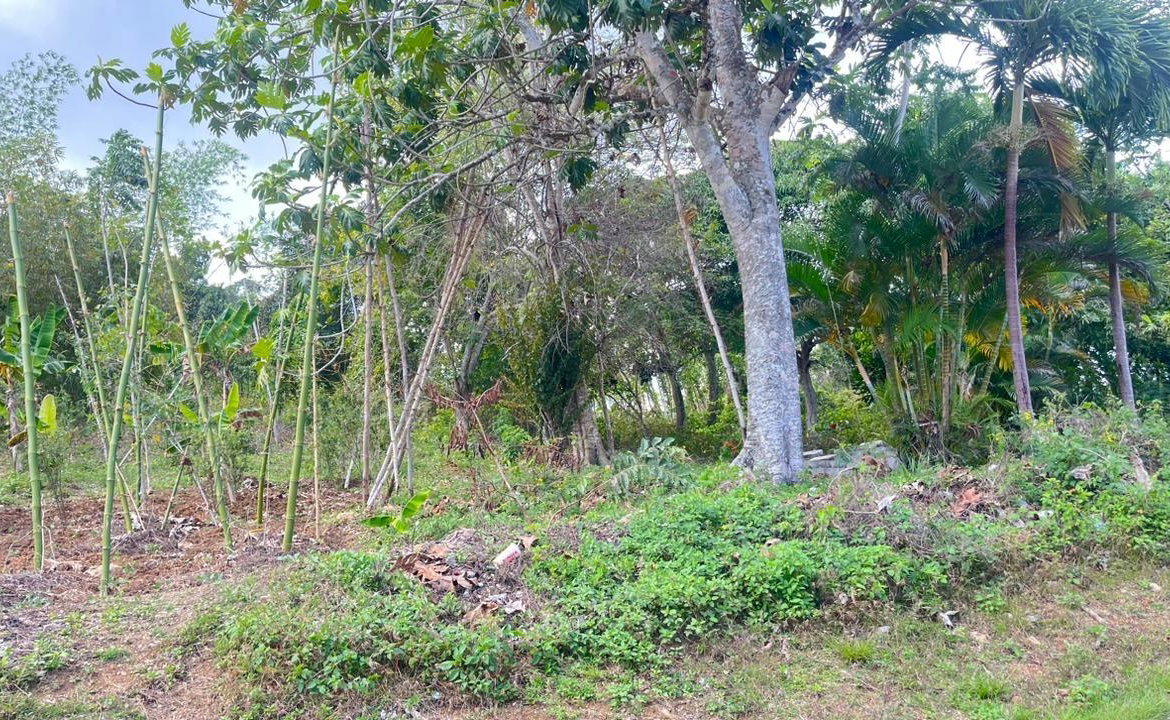 Fourth image of Land Part of Rock Hill in May Pen, Clarendon, Jamaica - property is For Sale